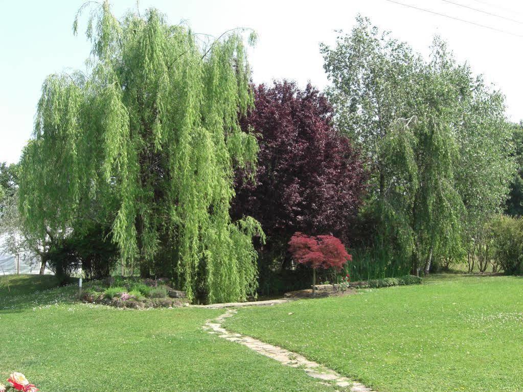 Il Vigneto Affittacamere Manerba del Garda Exterior photo